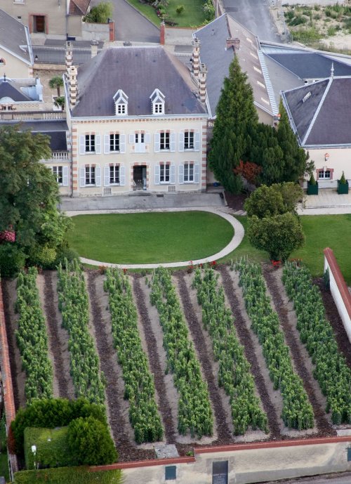 Bollinger